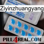 Ziyinzhuangyang new15